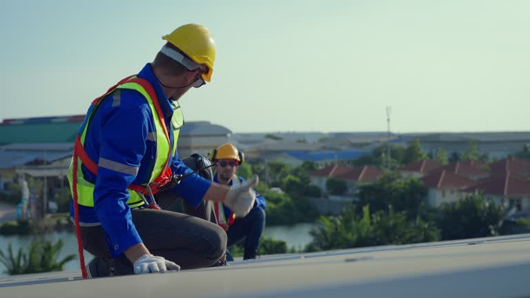 Best Metal Roofing Installation  in Lapeer, MI