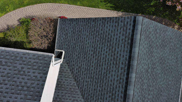 Best Skylight Installation and Repair  in Lapeer, MI