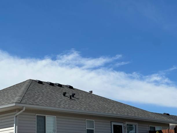 Best Tile Roofing Installation  in Lapeer, MI